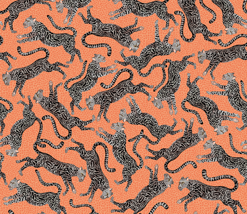 Ngala_Cheetah-Kings_Gallery-Coral-1