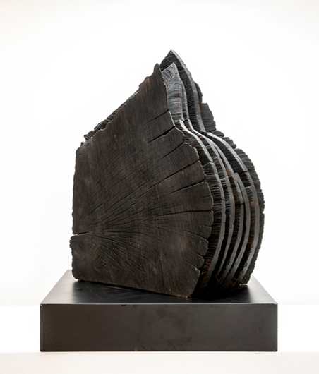 Wexler Gallery_David Nash_Black and Crack Sheaves