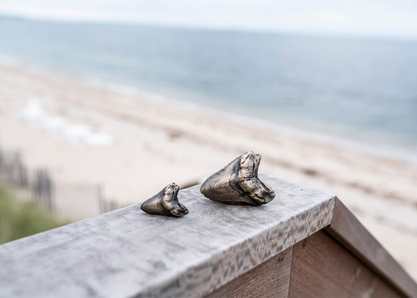 JD Staron_Fossilized Shark Tooth Hardware_beach